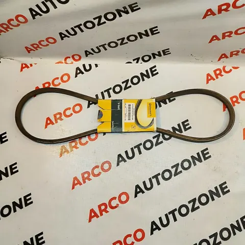 BELTS QUALIS REL13 1210 CONTI