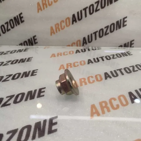AXLE NUT EON KUV100 20MM