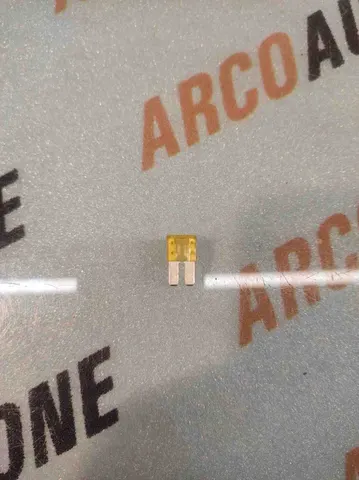 MICRO 2 FUSE 20 AMP